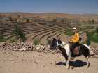 Kolem Arequipy na koni