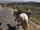 Kolem Arequipy na koni