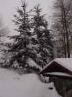 Na sněhu u Albíků