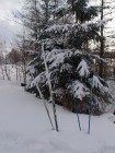 Na sněhu u Albíků